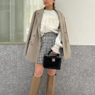 Bag and Tweed Skirt, Ja...