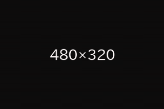 Image resize test