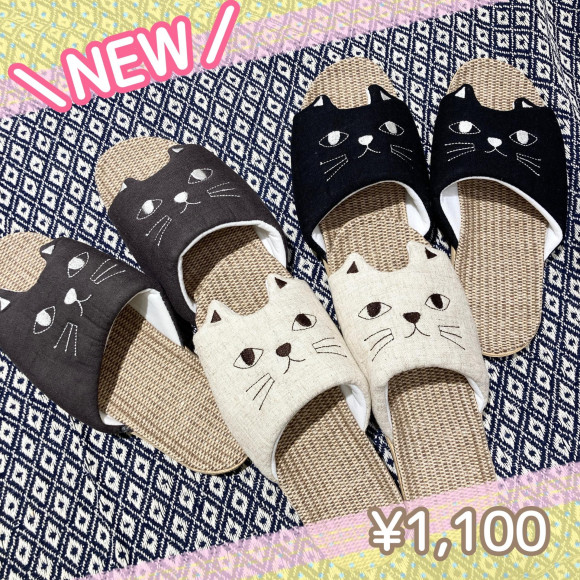 \ Introduction of sandals /