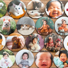 ★ตัวอย่าง ★　ป้ายดั้งเดิม ส่วนลดแคมเปญ 10%