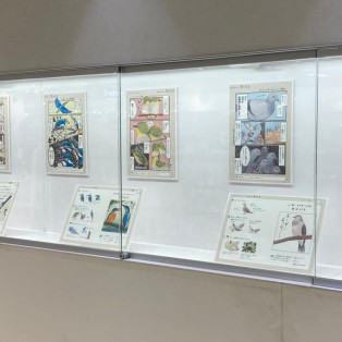 パネル展『意外と知らない鳥の生活』