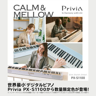 数量限定モデル入荷！