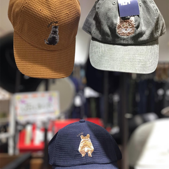 หมวกฤดูใบไม้ร่วงและฤดูหนาวมีในสต็อกแล้ว!