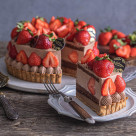 Feast Fukuoka Fair held　