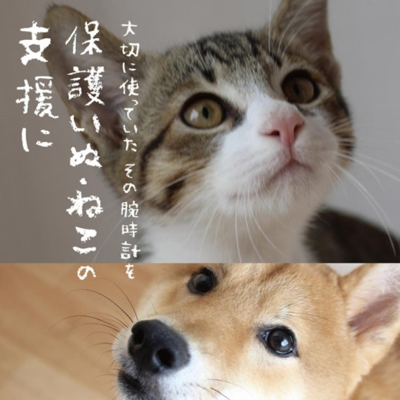 불필요한 손목 시계를 [손목 시계 10% OFF 쿠폰]에서 내리겠습니다!