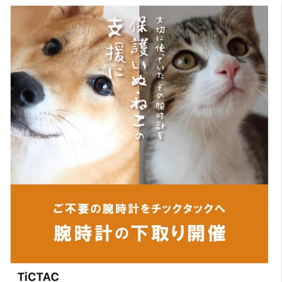 มันจะจบเร็วๆ นี้!! แลกเปลี่ยนนาฬิกาของคุณ: "ส่งนาฬิกาที่คุณรักไปช่วยเหลือสุนัขและแมว"