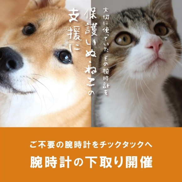 10/16(金)～腕時計下取り『大切に使っていた腕時計を保護いぬ・ねこの支援に』