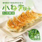 【5月限定】小ねぎ餃子発売中♪