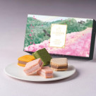 サブレショコラ 桜