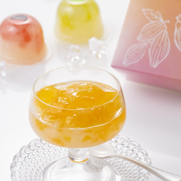 ムースショコラ エ カカオフルーツジュレ