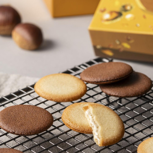 【附有5的日子是歌帝梵俱樂部W Point♪】蒙布朗格德沙克基配件 