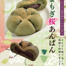 春先取り♪　大人気！よもぎ桜あんぱん