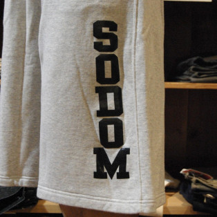 お待たせしました！moduct SWEAT BAGGY SHORTS