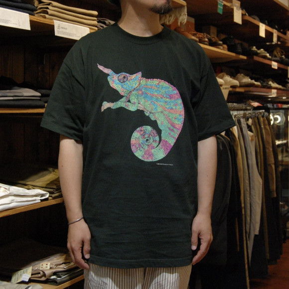 ดู! ชิ้นงานที่น่าสัมผัส 