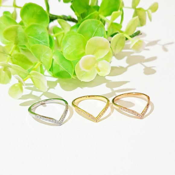 วีริงสแตนเลส