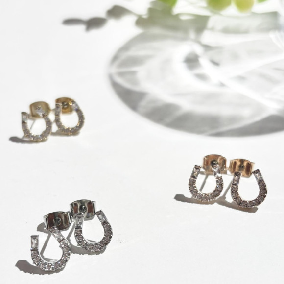 ホースシューピアス