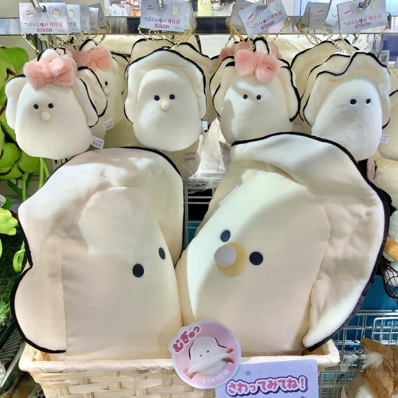 뮤지누이가 입하했습니다!!