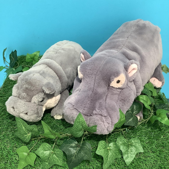 大受欢迎的膝盖系列中加入了“庇护”!