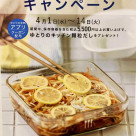 常備菜キャンペーン&新商品のご案内