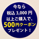 500円OFF クーポンのご案内