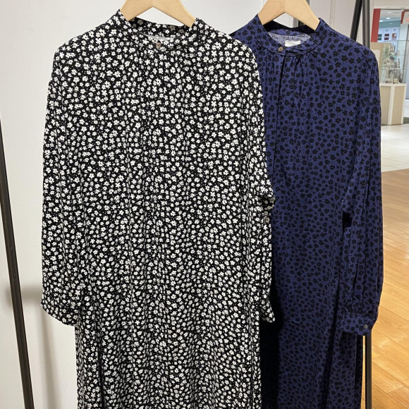 Information on One Piece