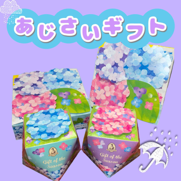 あじさいギフト☆ステラおばさんのクッキー☆
