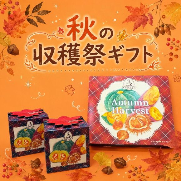 秋の限定ギフト♡ステラおばさんのクッキー♡