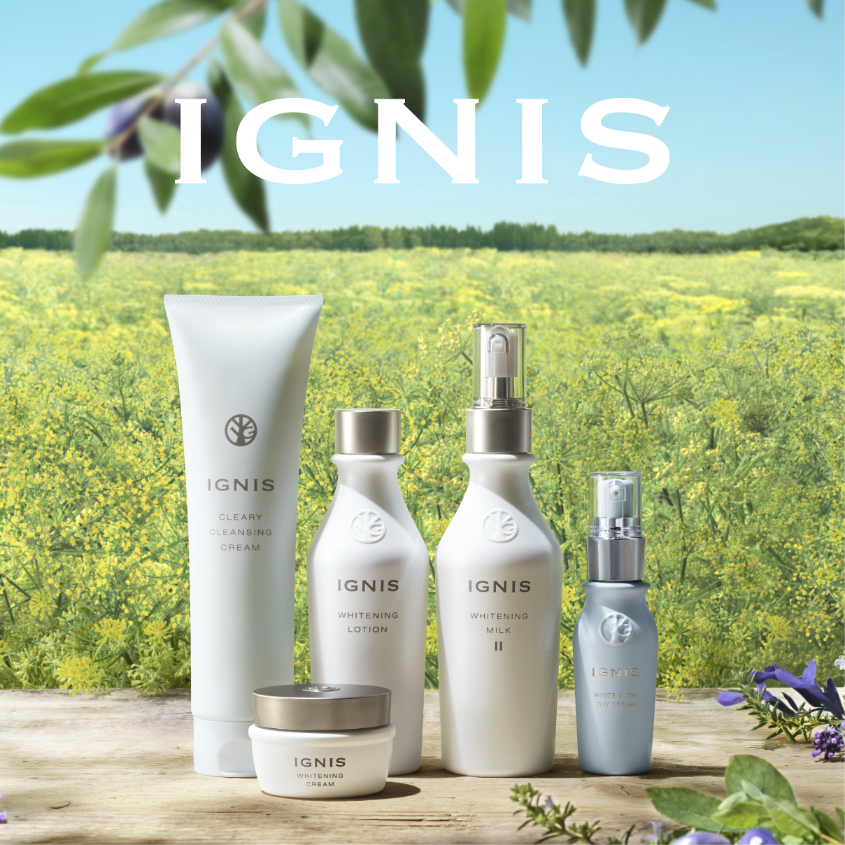 ローズマリー　リニューアルオープンイベント