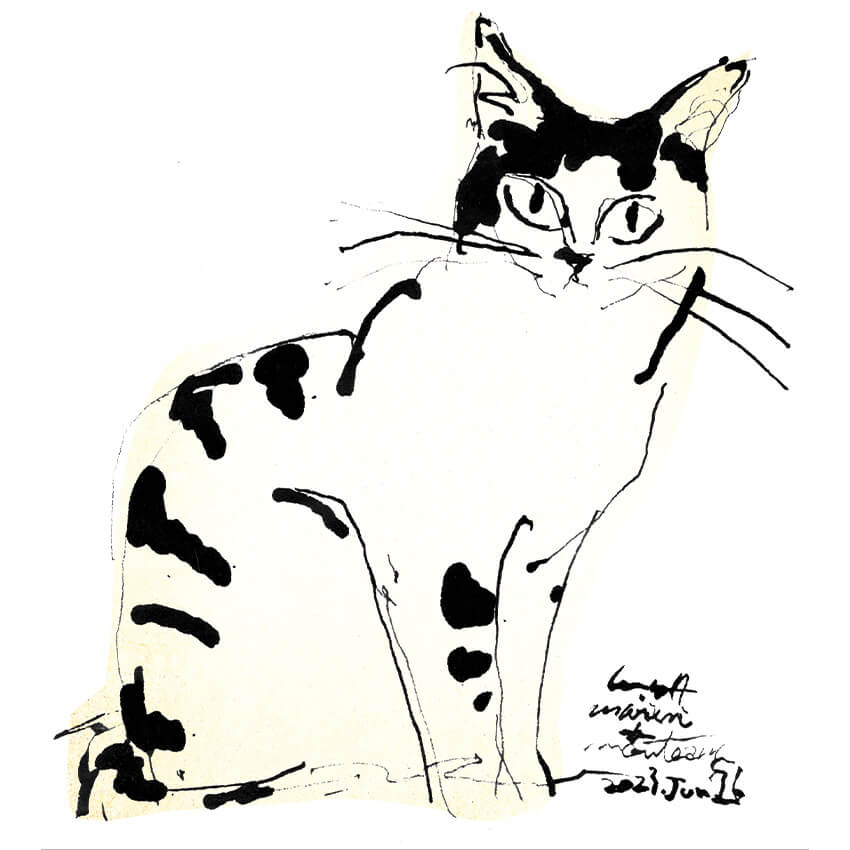 ねこをあつめるスタンプラリー