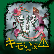 キモい展2025