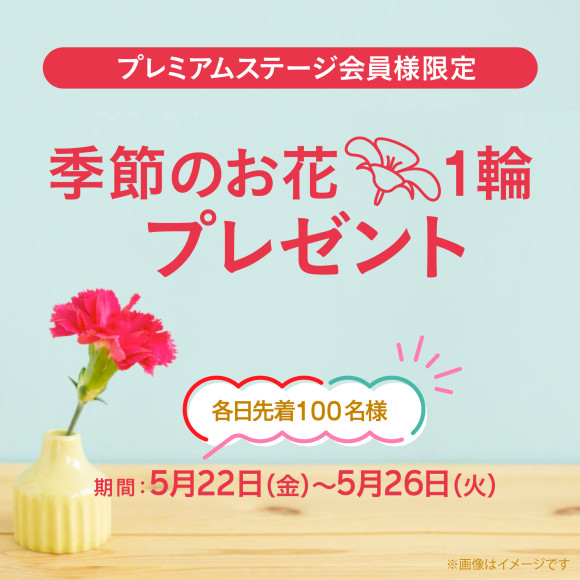 プレミアムステージ会員様限定！『季節のお花１輪』プレゼント！