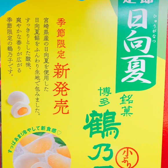 日向夏鶴乃子