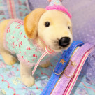 ♡新的狗狗道具♡