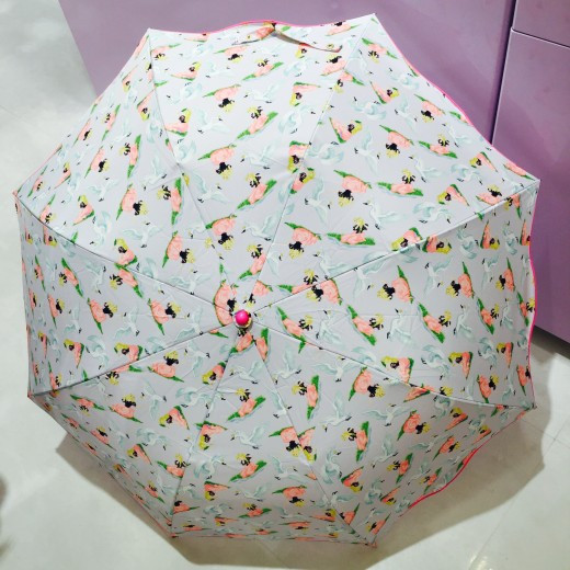 まだまだ続く梅雨に☂