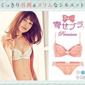 ☆きゅっと寄せプレミアム☆