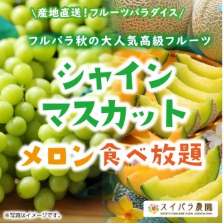 「山梨・長野県産シャインマスカット」がフルーツ食べ放題に仲間入り！