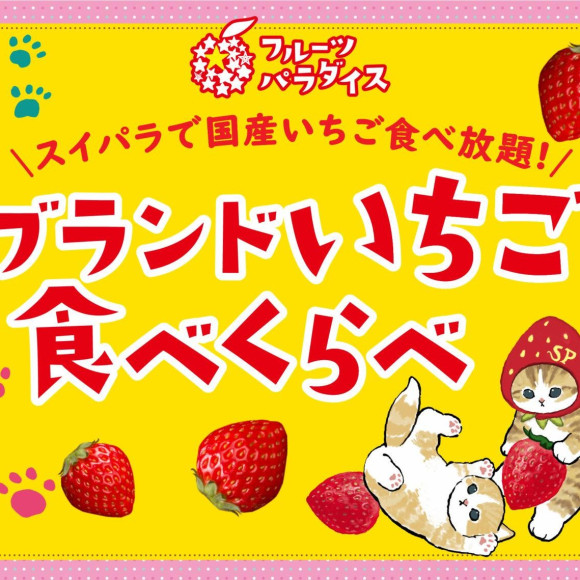 ブランドいちご食べくらべ・ねこグッズ販売開催中！！