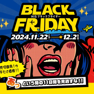 ◇フェア情報11/22(金)～◇ブラックフライデー～あっという間の11日間を見逃すな～