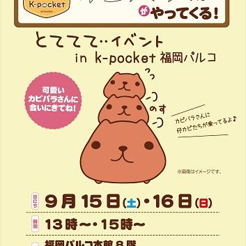 ☆カピバラさん　とててて・・撮影会イベント☆