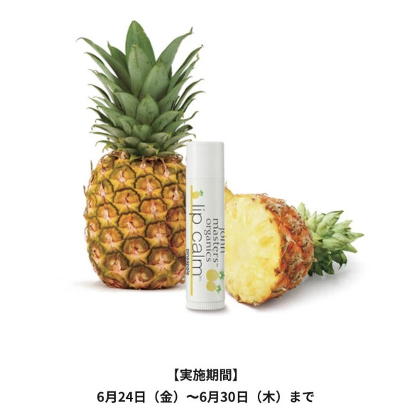 期間限定プレゼント！