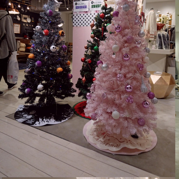 大人気！クリスマススターターセット☆