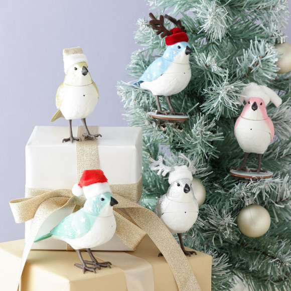 【NEW】クリスマス限定のミュージックバードをご紹介♩