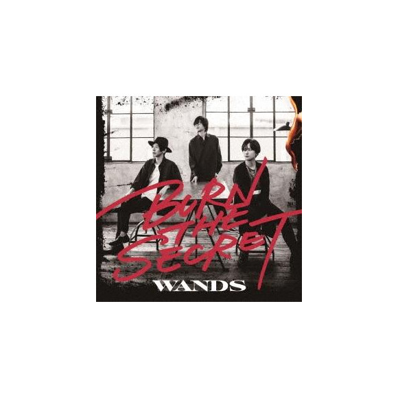 WANDS『Version5.0』発売記念店頭パネル - ミュージシャン