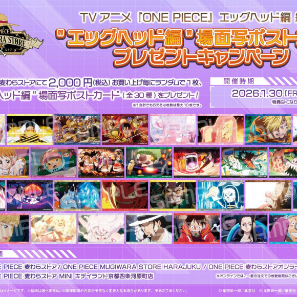 【麦わらストア】エッグヘッド編が終幕！ポストカードプレゼントキャンペーンとSNS投稿キャンペーンが開催中！