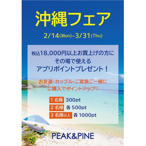 福岡・天神リゾート　水着ショップ　PEAK＆PINE　みんなで買ってオトク！！沖縄フェア開催中♡
