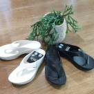 TELIC×ALBOVE【福岡水着　天神水着　リゾート水着　ALBOVE　ヨガ　ジム　PEAK & PINE　メンズ水着】