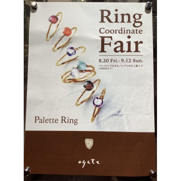 Ring Coordinate Fair