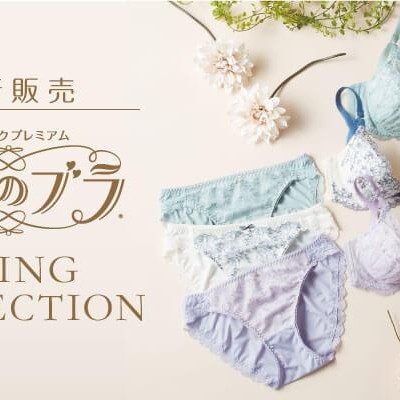 ＊春の煌めきを纏ったブラセット＊