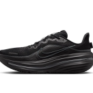 NIKE☆AIR WINFLO 12