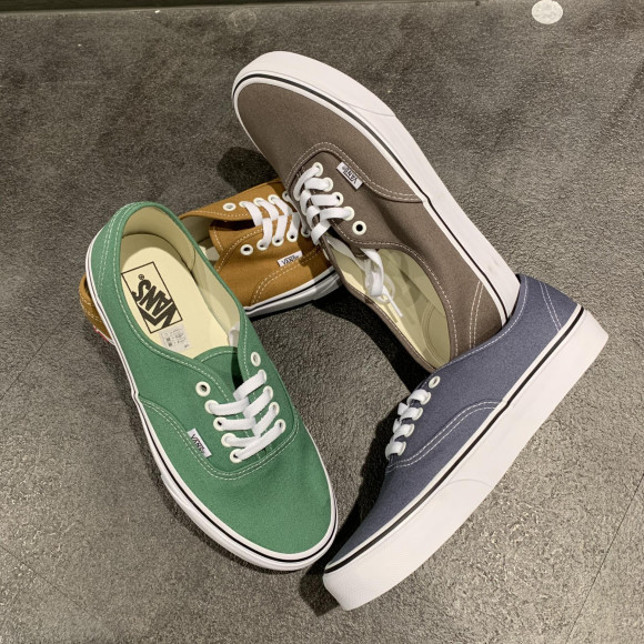 NEW COLOR!! 【VANS AUTHENTIC】